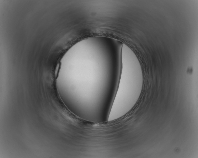 X0000093120566200709261016