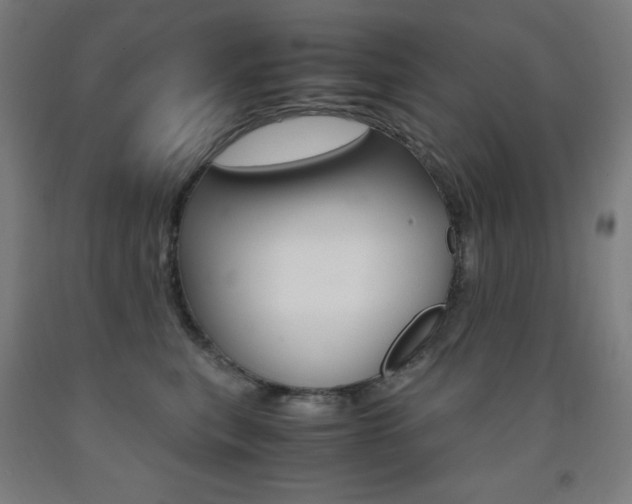 X0000093120567200709261016