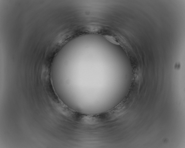 X0000093120568200709261016