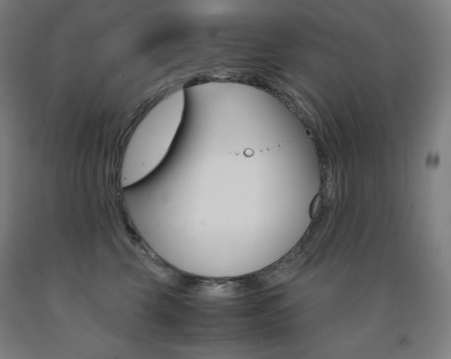 X0000093120569200709261016