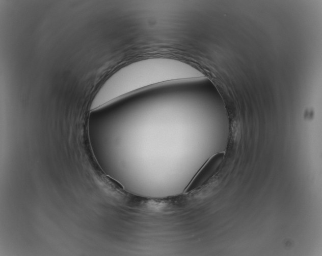 X0000093120570200709261016