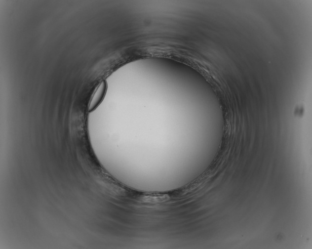 X0000093120571200709261016