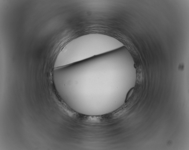 X0000093120573200709261016
