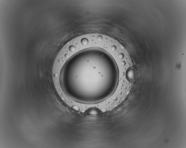 X0000093120574200709261016