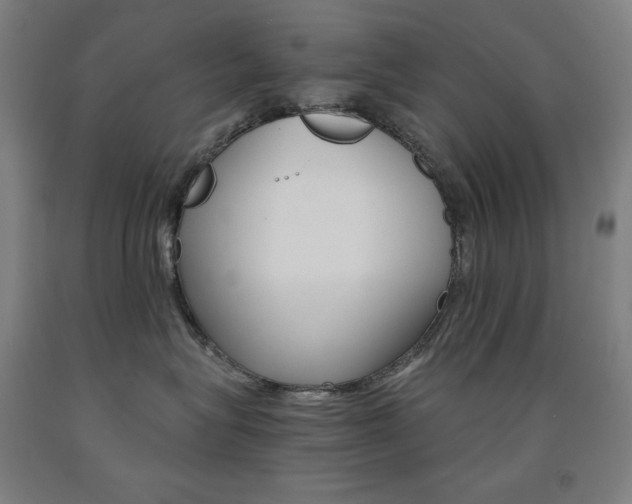 X0000093120575200709261016