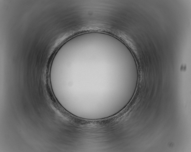 X0000093120578200709261016