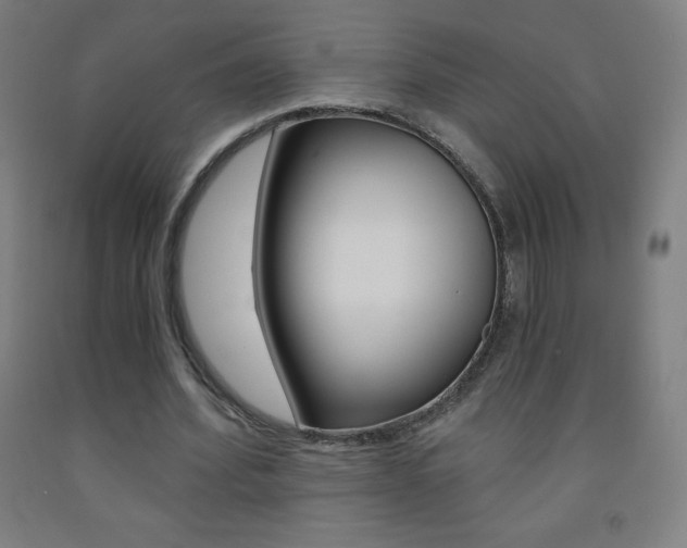 X0000093120580200709261016