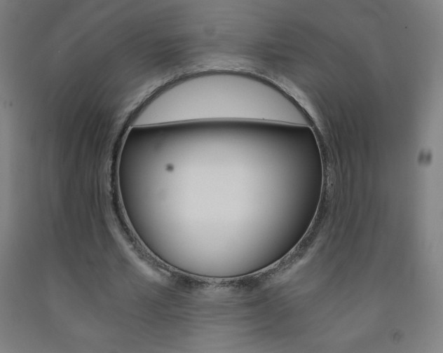 X0000093120581200709261016