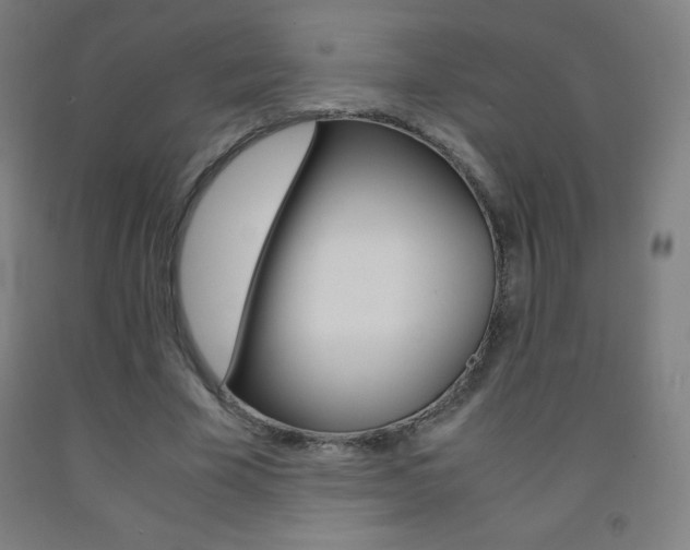 X0000093120585200709261016
