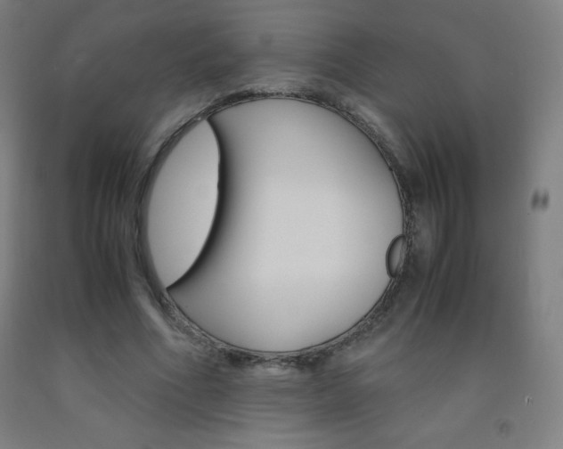 X0000093120586200709261016