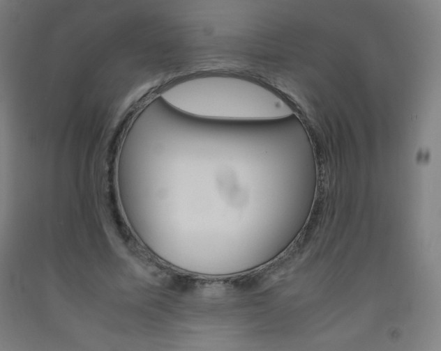 X0000093120587200709261016