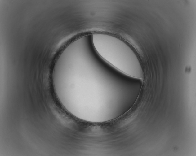 X0000093120588200709261016