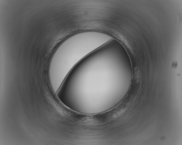 X0000093120589200709261016