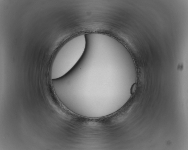 X0000093120590200709261016