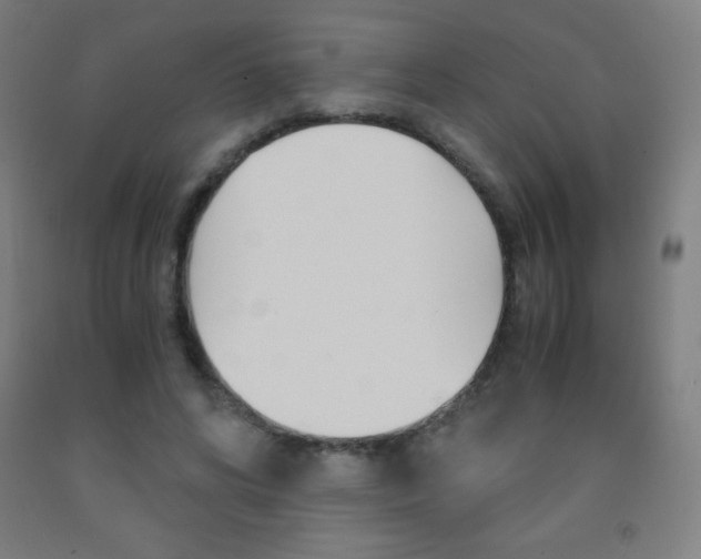 X0000093120592200709261016