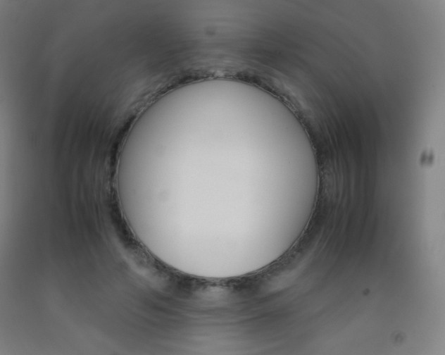 X0000093120594200709261016