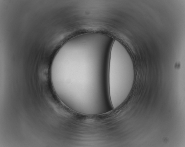 X0000093120596200709261016