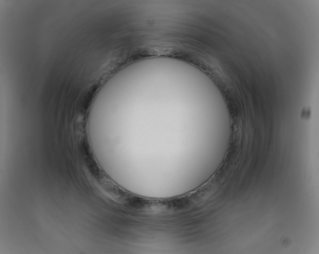X0000093120598200709261016