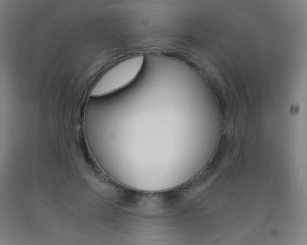 X0000093120599200709261016