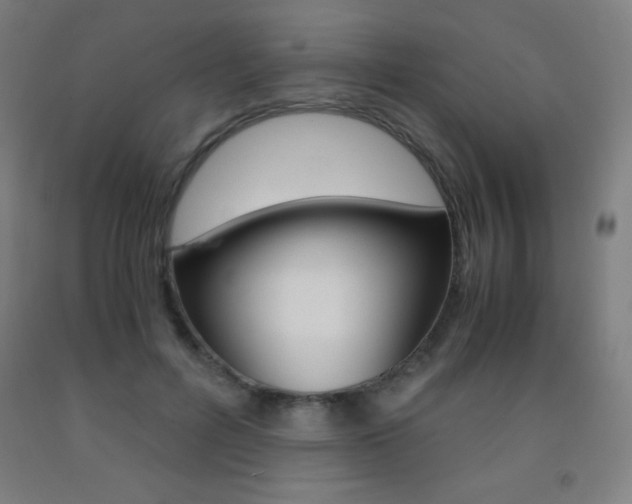 X0000093120600200709261016