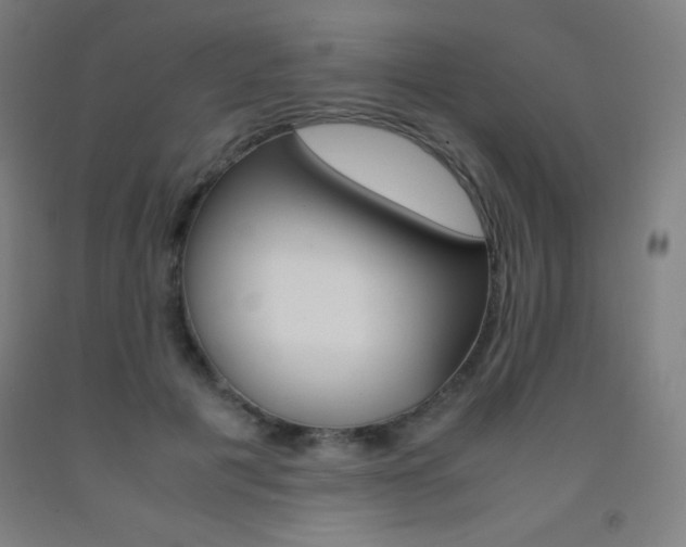X0000093120601200709261016
