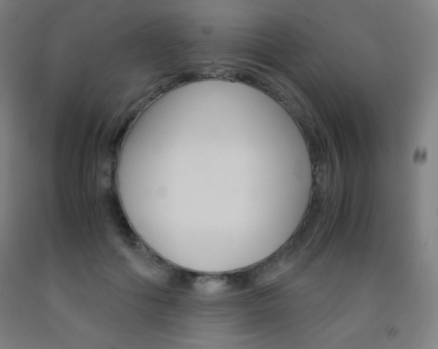 X0000093120602200709261015