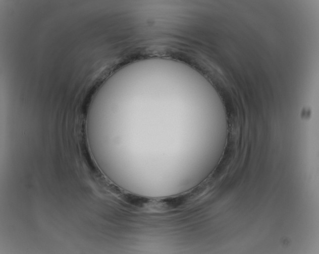 X0000093120603200709261015