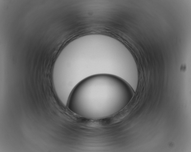 X0000093120604200709261015