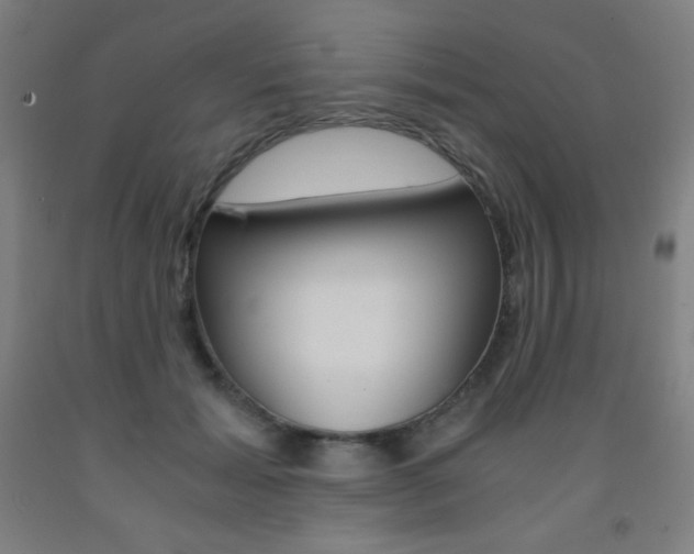 X0000093120605200709261015