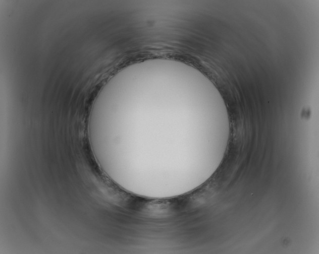 X0000093120606200709261015