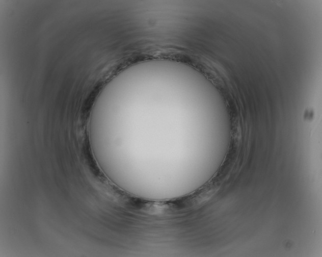X0000093120607200709261015