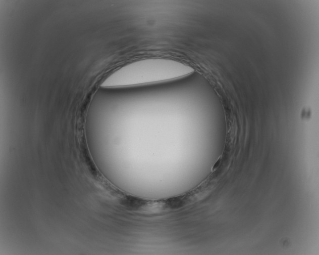 X0000093120609200709261015