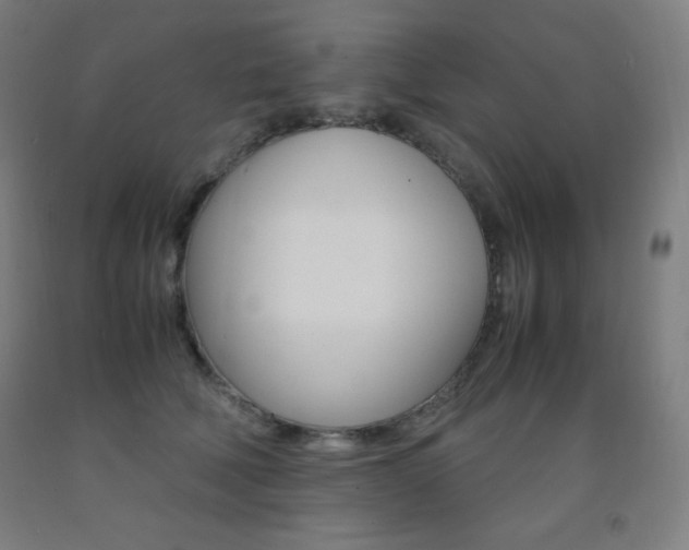 X0000093120610200709261015