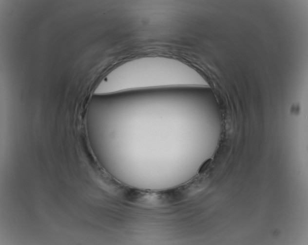 X0000093120611200709261015