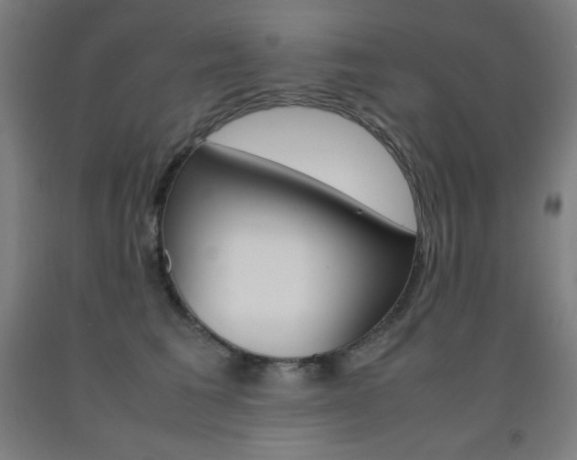 X0000093120613200709261015
