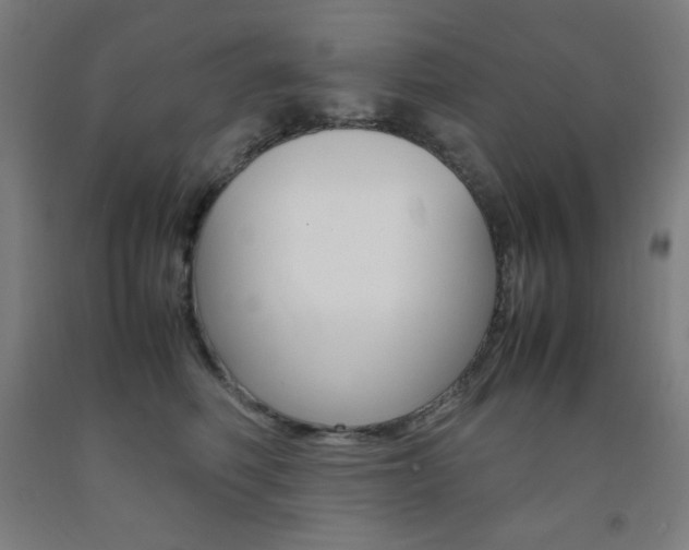 X0000093120614200709261015