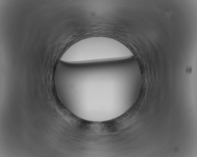X0000093120615200709261015