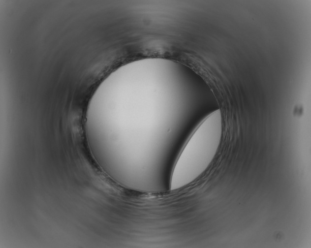 X0000093120616200709261015
