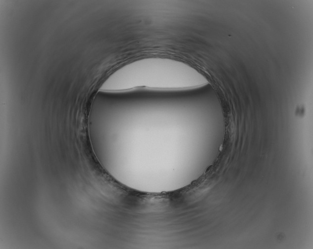X0000093120619200709261015