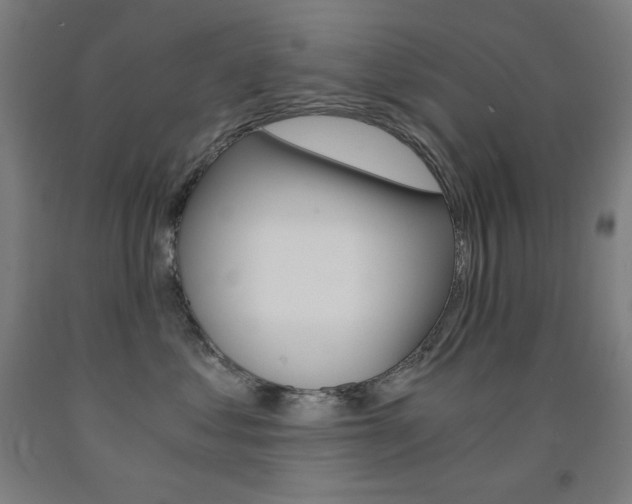 X0000093120621200709261015