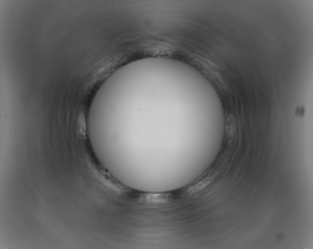 X0000093120622200709261015