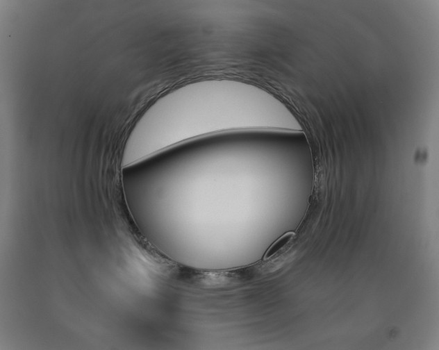 X0000093120623200709261015