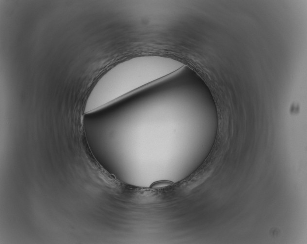X0000093120624200709261015