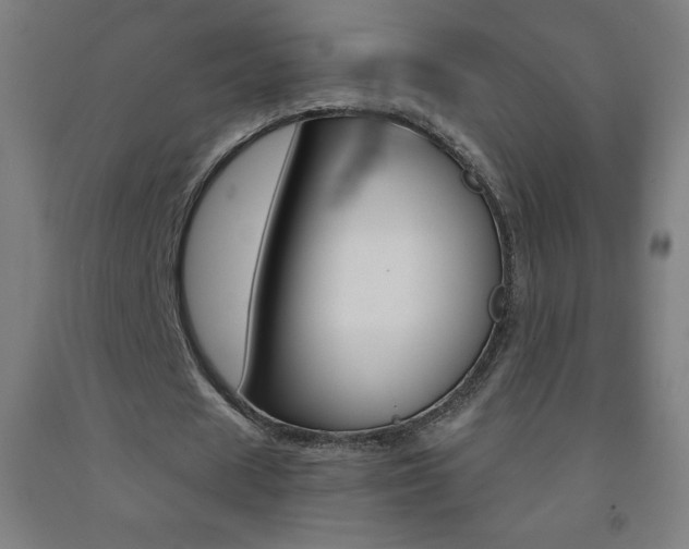 X0000093120625200709261015
