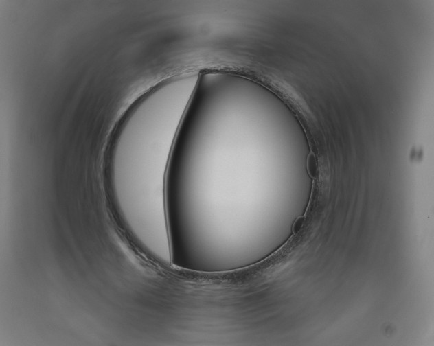 X0000093120626200709261015