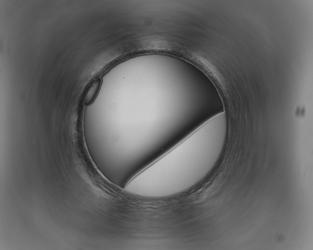 X0000093120627200709261015