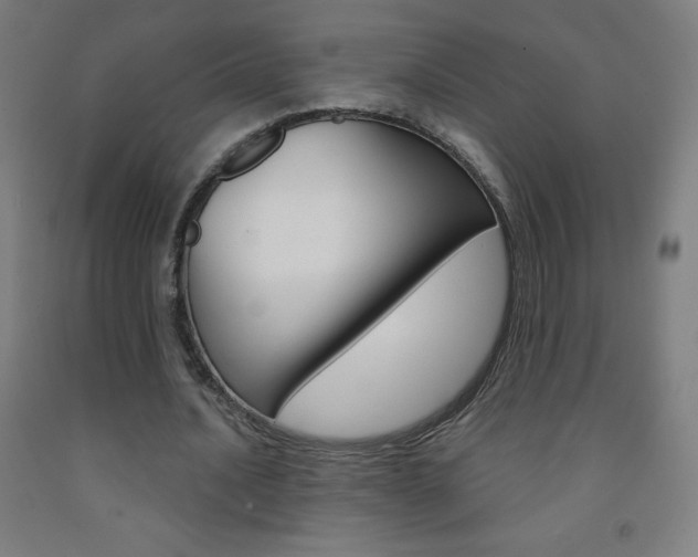 X0000093120628200709261015