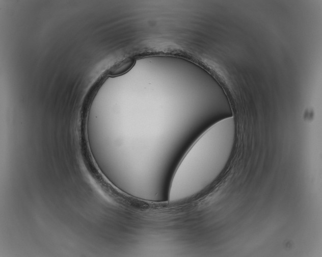 X0000093120630200709261015