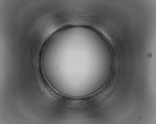 X0000093120631200709261015