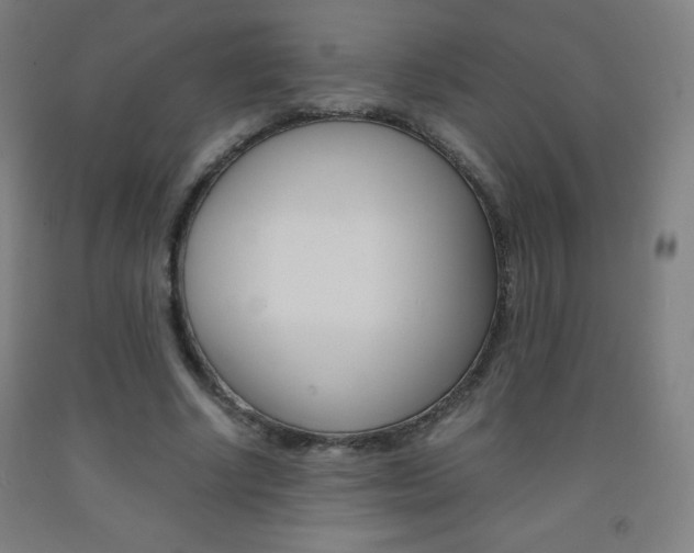 X0000093120634200709261015
